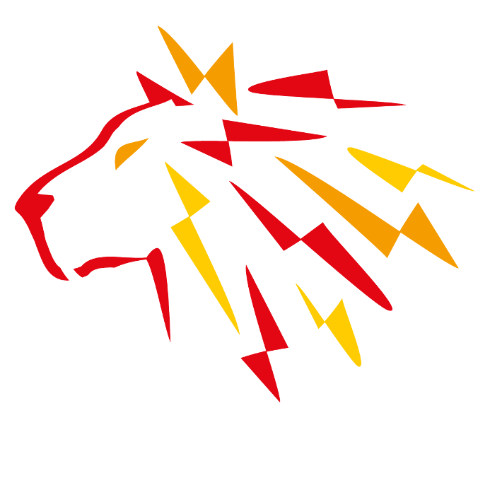 e-Loewe footer logo